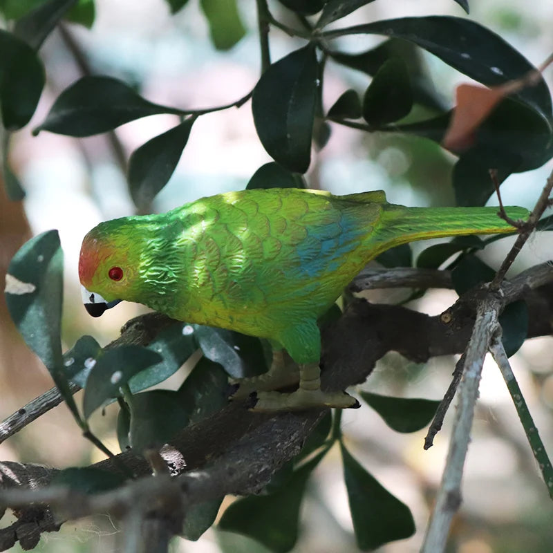 Realistic Bird Animal Figurine Collection