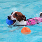 Solid Rubber Dog Ball for Interactive Fetch Training and Chewing Play