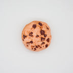 Funny Squeaky Toys For Small Medium Dogs Puppy Bite Resistant Simulated Dog Toy Meat Seafood Ice Cream Series Pet Product