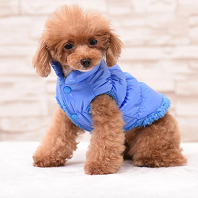 Classis Pet Dog Down Jacket for Small Dogs Winter Cat Dog Clothes for Yorkshire Shih Tzu Coat Puppy Clothing UbRanko Dla Psa