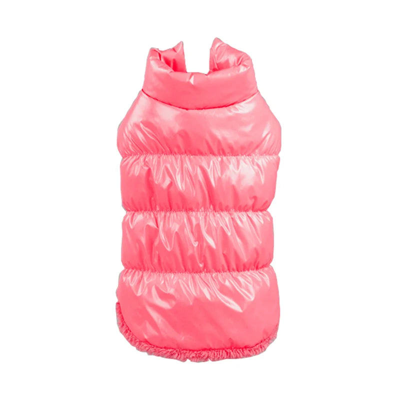Classis Pet Dog Down Jacket for Small Dogs Winter Cat Dog Clothes for Yorkshire Shih Tzu Coat Puppy Clothing UbRanko Dla Psa