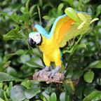 Realistic Bird Animal Figurine Collection