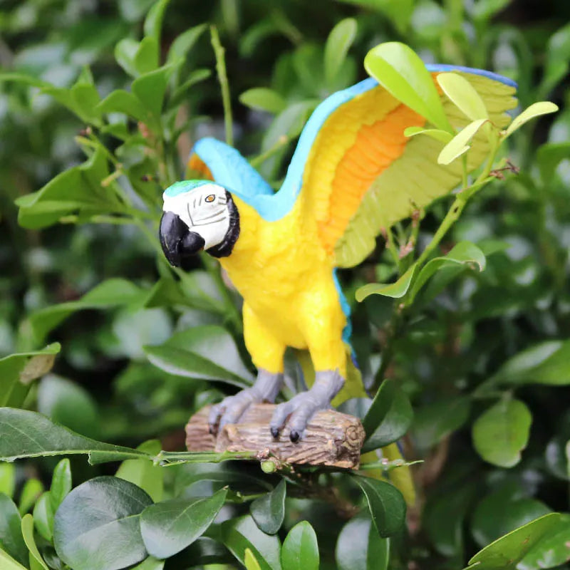 Realistic Bird Animal Figurine Collection