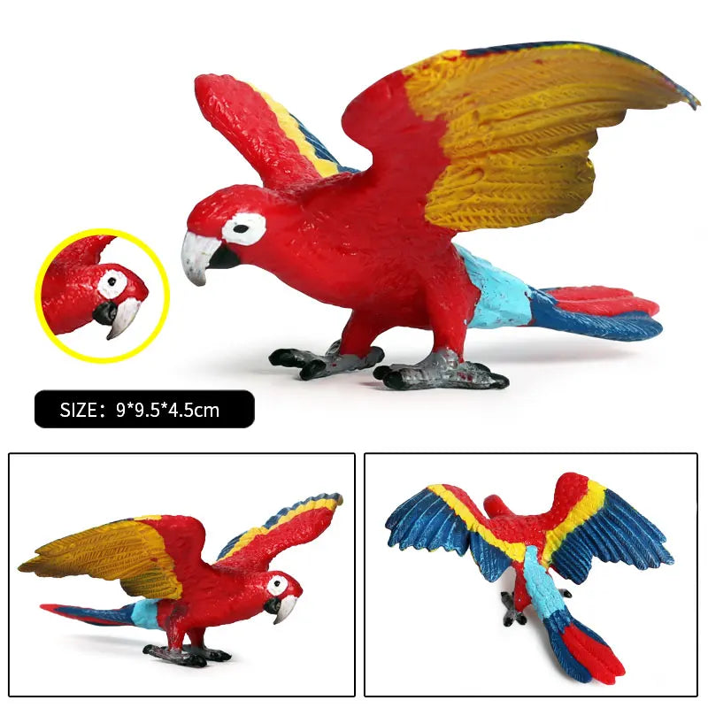 Realistic Bird Animal Figurine Collection