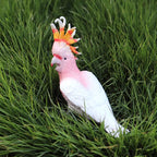Realistic Bird Animal Figurine Collection