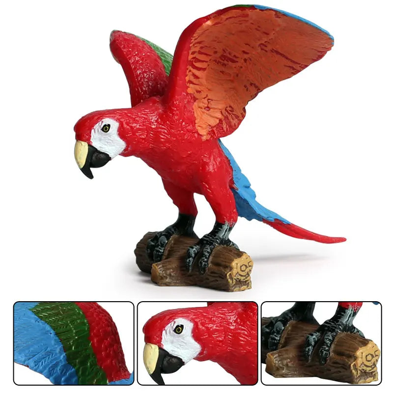 Realistic Bird Animal Figurine Collection