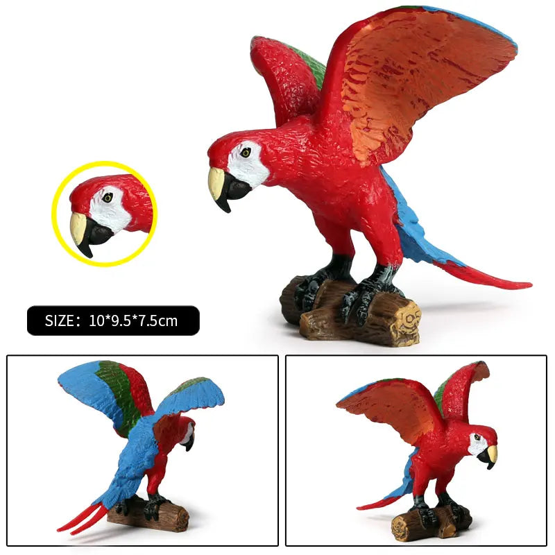 Realistic Bird Animal Figurine Collection