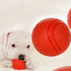 HOOPET Bite Resistant Rubber Dog Ball for Interactive Fetch Play
