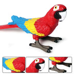 Realistic Bird Animal Figurine Collection