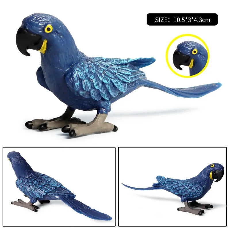 Realistic Bird Animal Figurine Collection