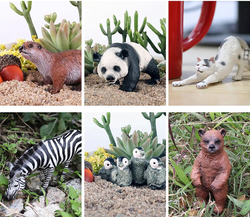 Montessori Animal and Plant Life Cycle Biology Model Toy Set