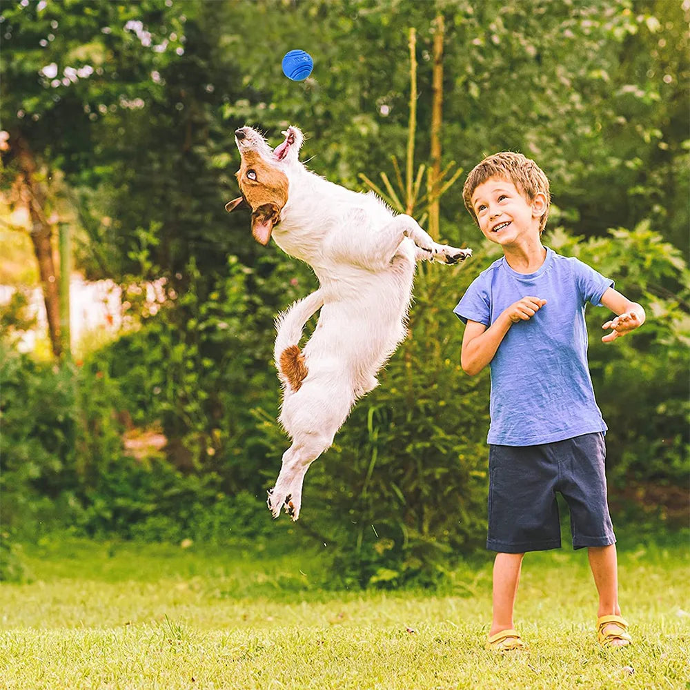 Solid Rubber Dog Ball for Interactive Fetch Training and Chewing Play