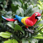 Realistic Bird Animal Figurine Collection