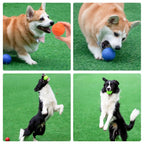 Solid Rubber Dog Ball for Interactive Fetch Training and Chewing Play
