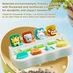 Montessori Pop Up Animal Learning Box