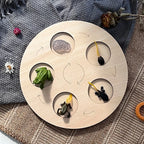 Montessori Animal and Plant Life Cycle Biology Model Toy Set