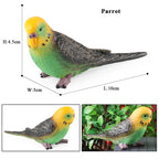 Realistic Bird Animal Figurine Collection