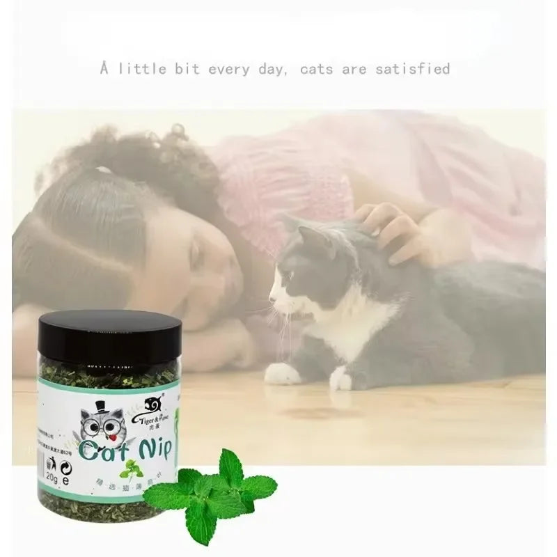 Organic Natural Catnip Mint Toy for Interactive Indoor Cat Play
