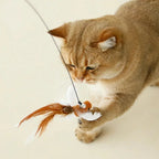 Interactive Bird Feather Cat Wand Toy for Indoor Hunting Play