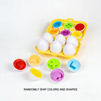 Color & Shape Matching Egg Toy Set – Montessori Learning Puzzle