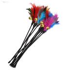5PCS Interactive Feather Cat Wand Toy Set for Indoor Hunting Play