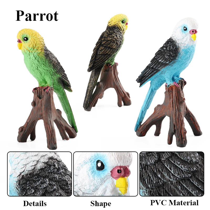 Realistic Bird Animal Figurine Collection