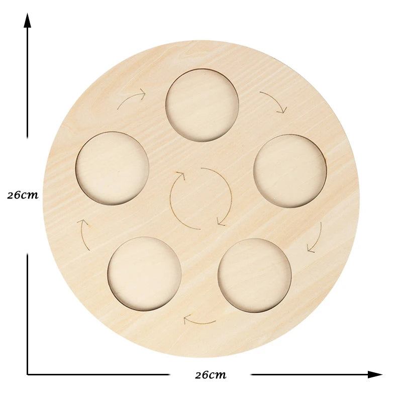 Montessori Animal and Plant Life Cycle Biology Model Toy Set