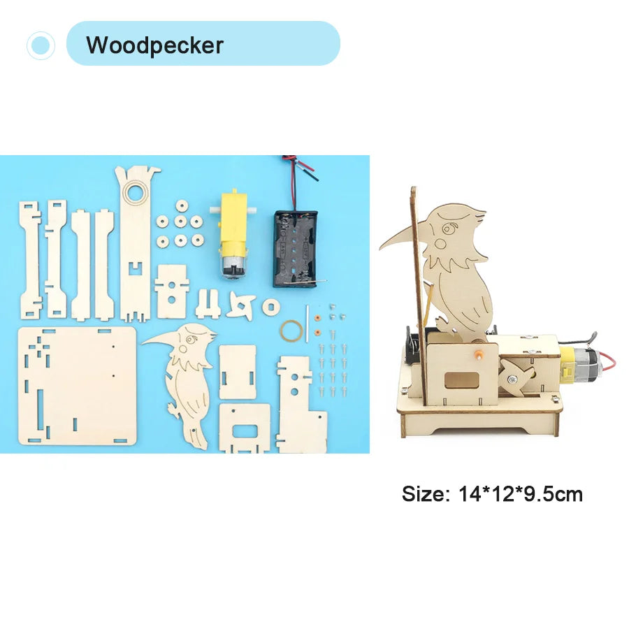 DIY STEM Science Experiment Model Kit for Kids