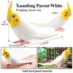 Realistic Bird Animal Figurine Collection