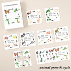Montessori Animal and Plant Life Cycle Biology Model Toy Set