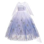 Girls Elsa Frozen Snow Queen Mesh Princess Dress Costume
