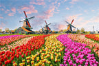 46*28cm Jigsaw Puzzles 500 Pieces Paper Picture Landscape Oil Painting Art Puzzles Decompression Toys for Adults Family Games