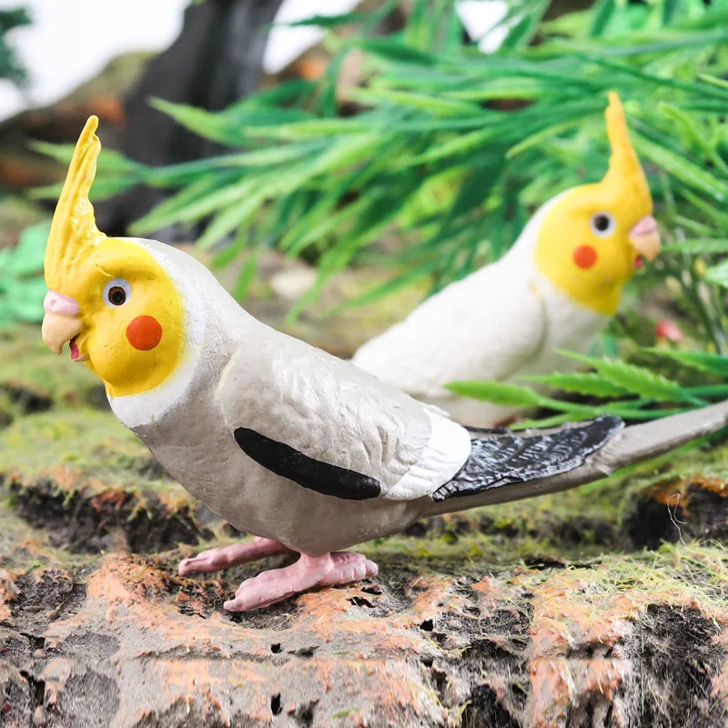 Realistic Bird Animal Figurine Collection