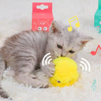 Smart Interactive Catnip Ball Toy for Active Indoor Cat Play