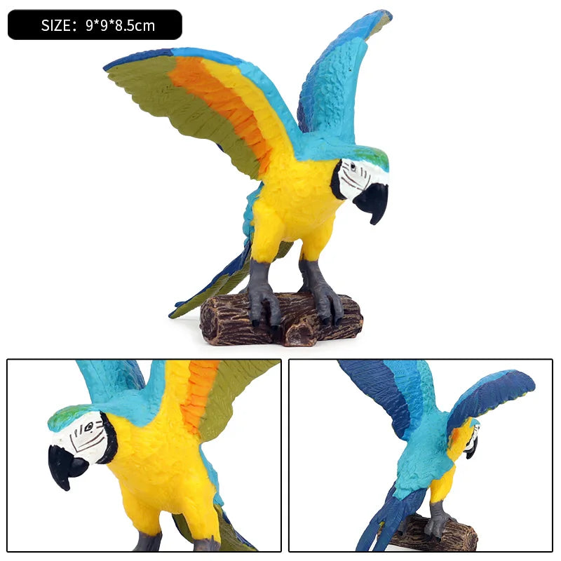Realistic Bird Animal Figurine Collection