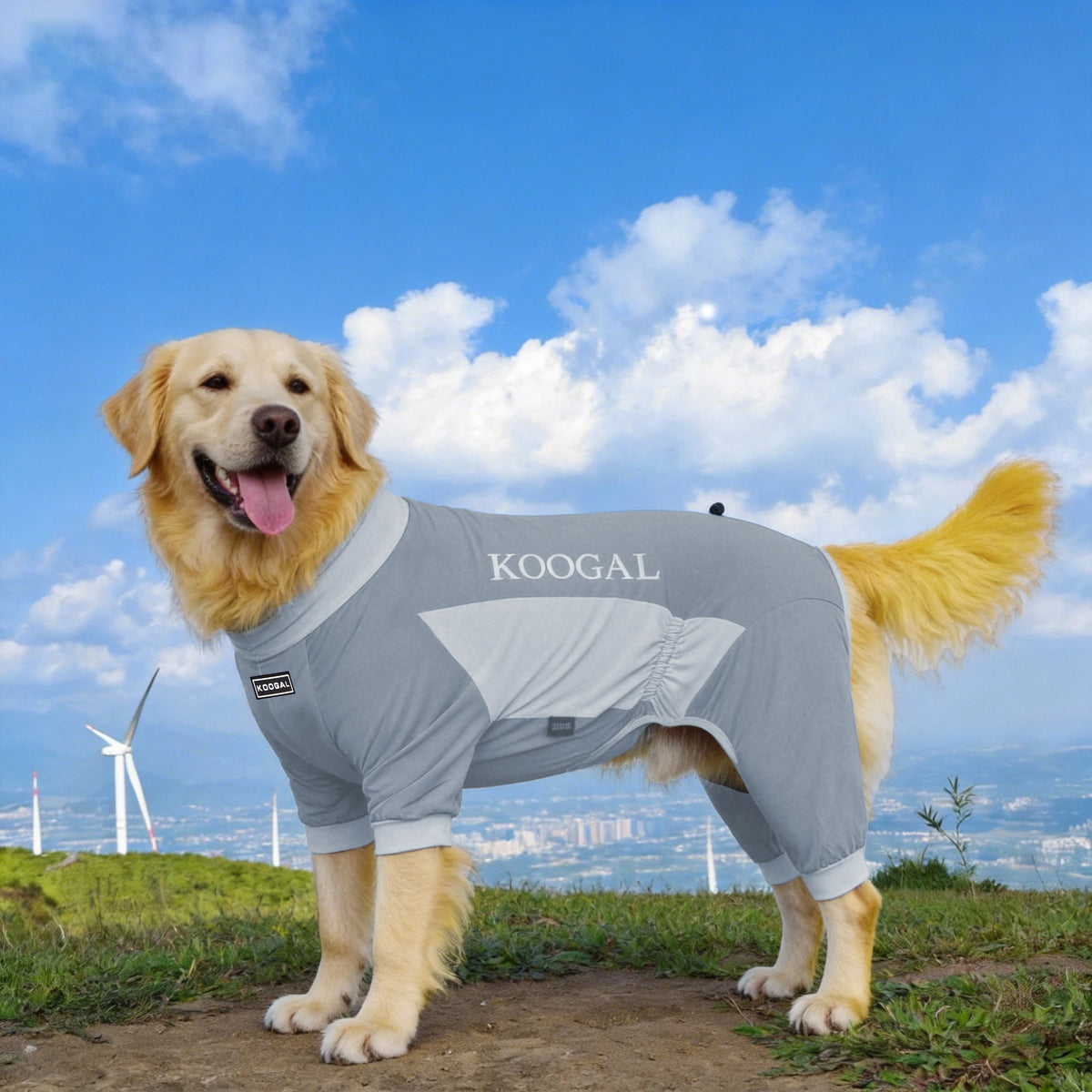 Summer Dog Cooling Clothes, Pet Sun Protection Quick-Drying Cool Dog One-Piece Clothes, Suitable for Small, Medium and Large-Siz