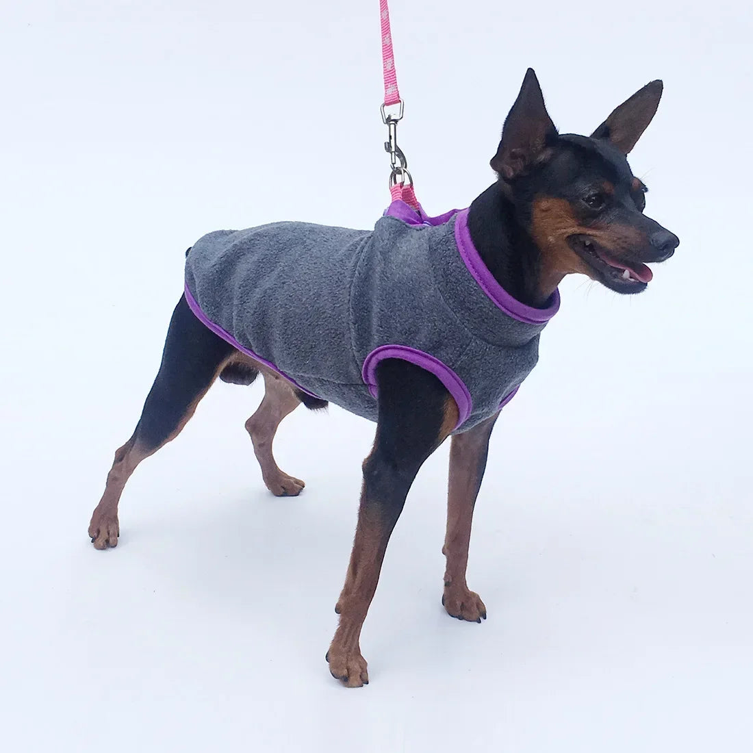 Fleece Dog Clothes Small Dogs Spring Autumn Warm Puppy Cats Vest Shih Tzu Chihuahua French Bulldog Jacket Pug Coats
