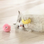 Interactive Electric Cat Ball Toy for Indoor Cats and Kittens