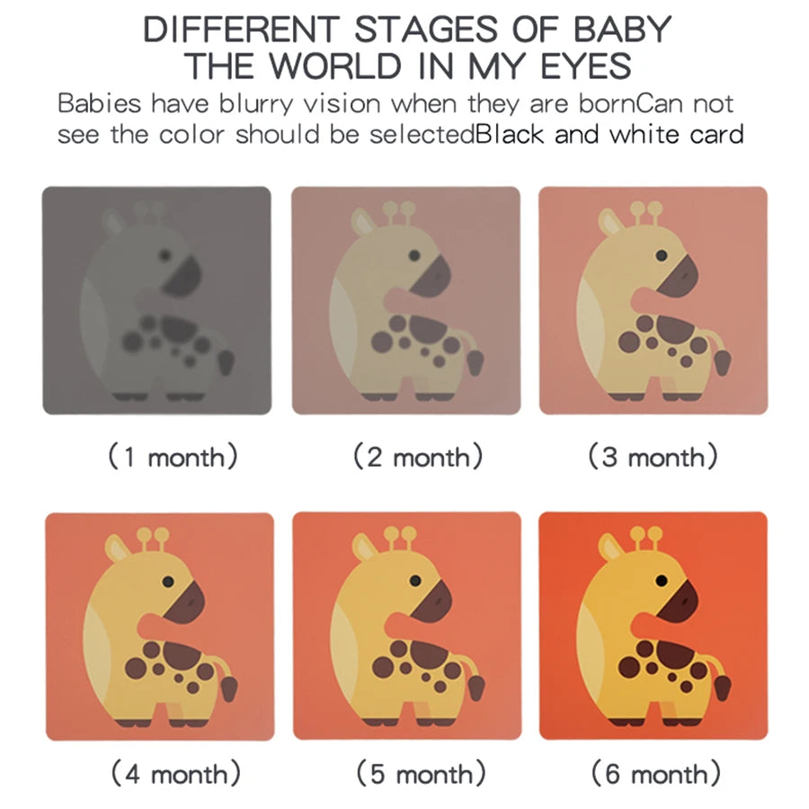 Baby Visual Stimulation Montessori High Contrast Flash Cards