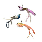 Peacock Bird Cat Teaser Wand for Interactive Hunting and Play