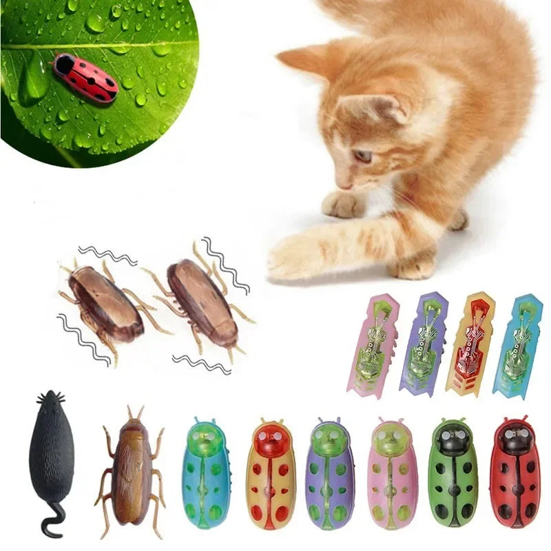 Electric Bug Cat Toy Automatic Interactive Catnip Chasing Toy
