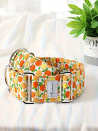 Martinagle Wide Adjustable Dog Collar, Soft Patterned Anti-Pull Collar for Medium-Sized Dogs, Suitable for Italian Greyhounds, Whippets, and Visual Hunting Dogs
