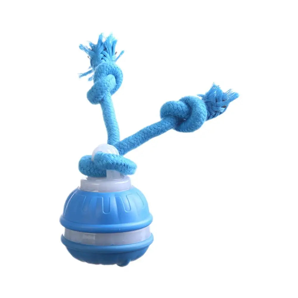 Interactive Motion Activated Dog Ball with Rope for Active Play