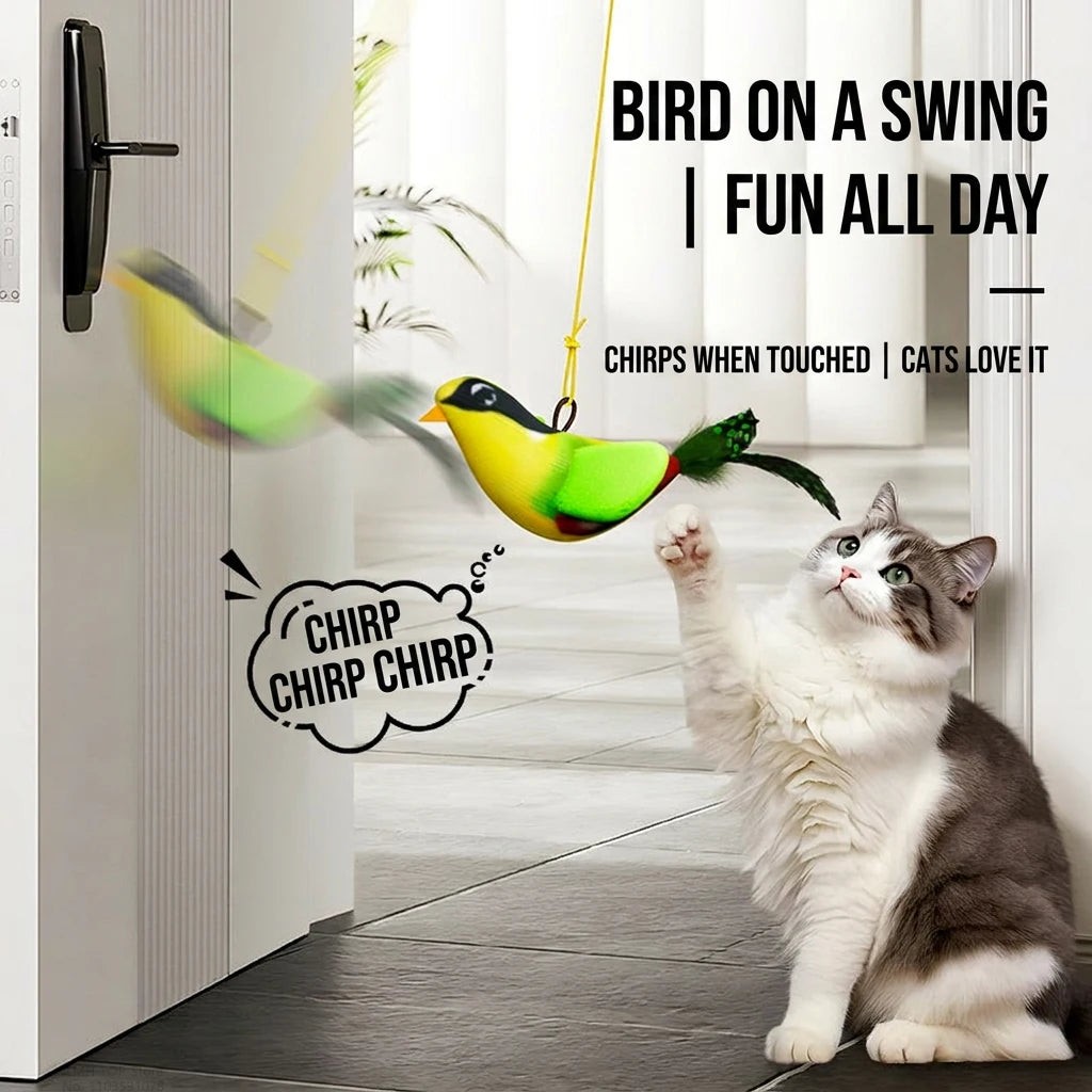 Interactive Wall Hanging Bird Cat Toy with Catnip for Indoor Play