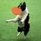 Silicone Flying Disc Dog Toy for Interactive Fetch and Outdoor Play