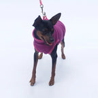 Fleece Dog Clothes Small Dogs Spring Autumn Warm Puppy Cats Vest Shih Tzu Chihuahua French Bulldog Jacket Pug Coats
