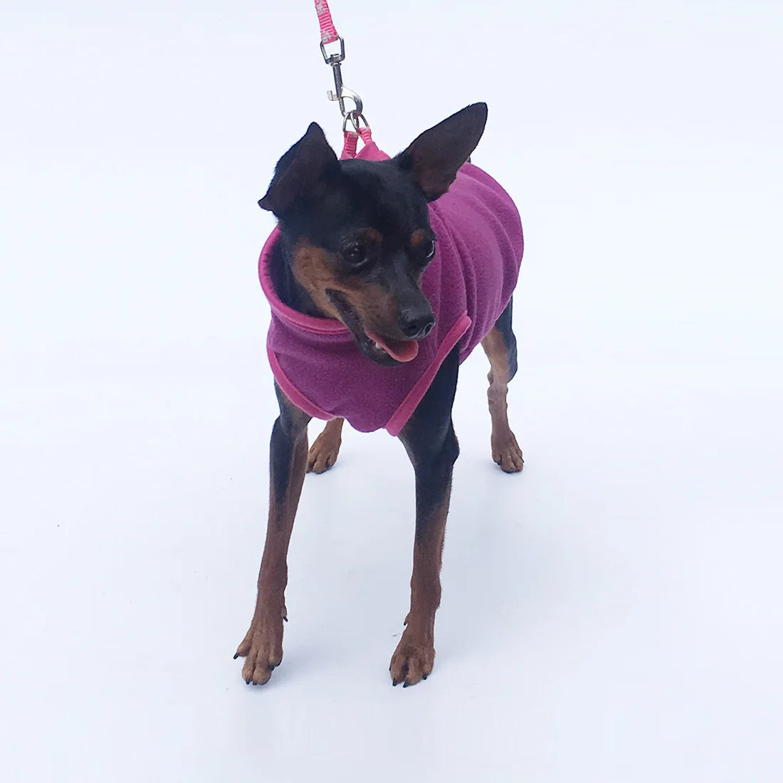 Fleece Dog Clothes Small Dogs Spring Autumn Warm Puppy Cats Vest Shih Tzu Chihuahua French Bulldog Jacket Pug Coats