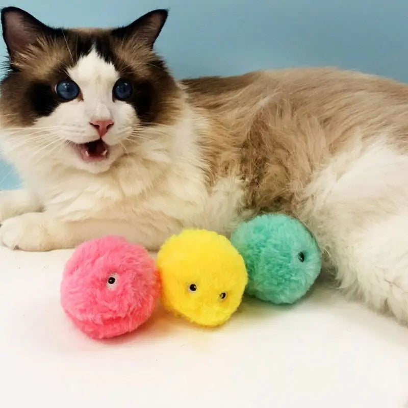 Smart Interactive Catnip Ball Toy for Indoor Cats and Kittens Play