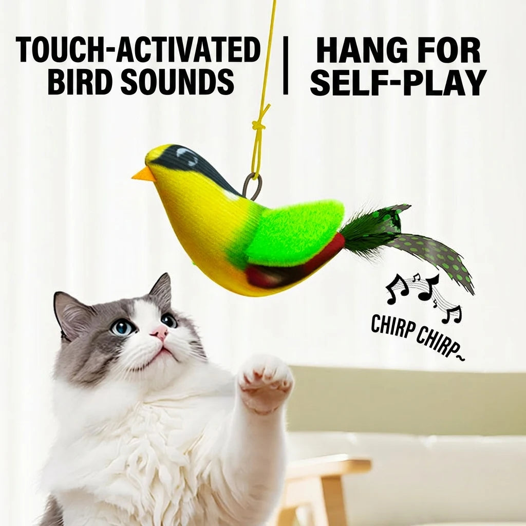 Interactive Wall Hanging Bird Cat Toy with Catnip for Indoor Play