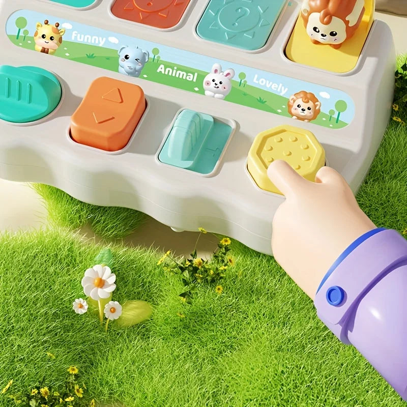Montessori Pop Up Animal Learning Box